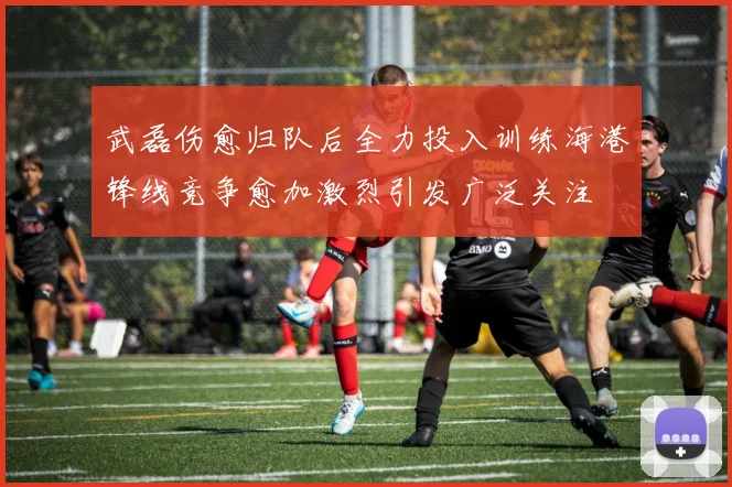武磊伤愈归队后全力投入训练海港锋线竞争愈加激烈引发广泛关注