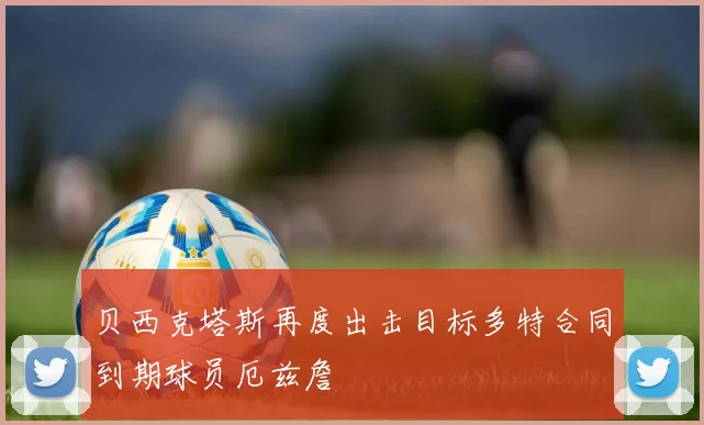 贝西克塔斯再度出击目标多特合同到期球员厄兹詹
